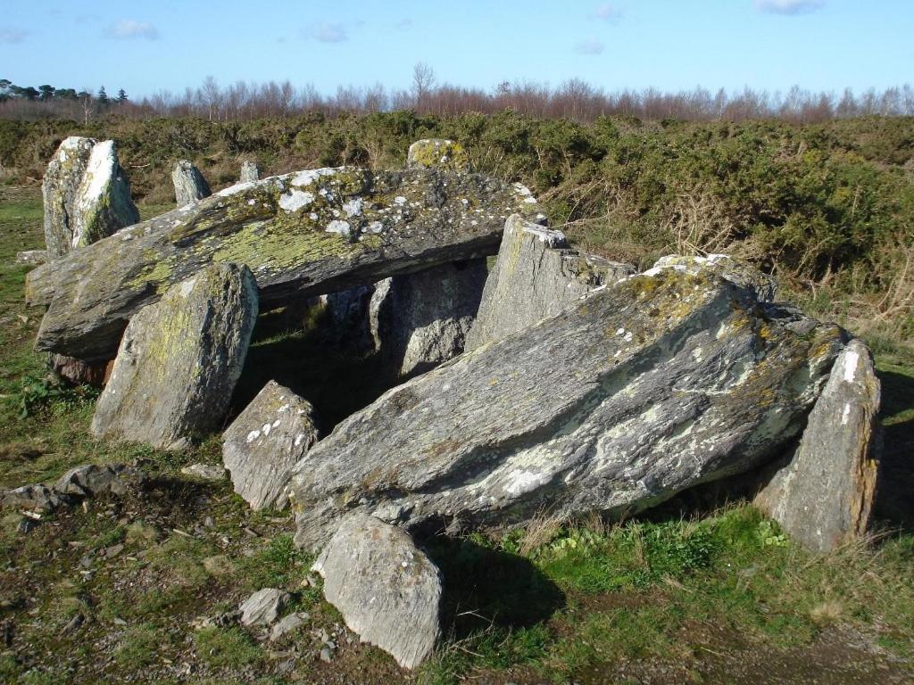 Villa Moulin Menhirs&zone Naturelle Protégée Saint-Just (Ille-et-Vilaine)